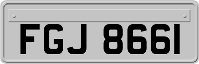 FGJ8661