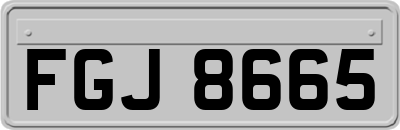 FGJ8665