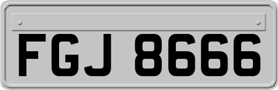 FGJ8666