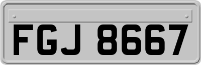 FGJ8667