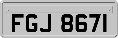 FGJ8671