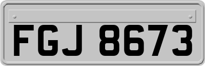FGJ8673