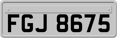 FGJ8675