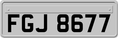 FGJ8677