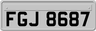 FGJ8687
