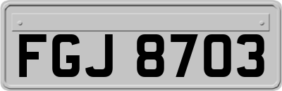 FGJ8703