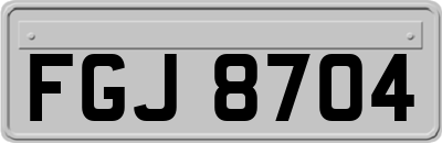 FGJ8704