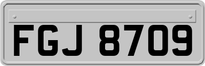 FGJ8709