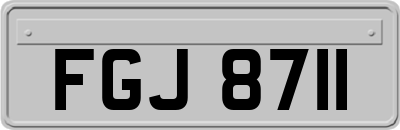 FGJ8711