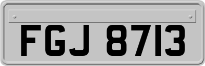 FGJ8713