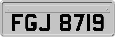 FGJ8719