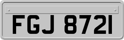 FGJ8721