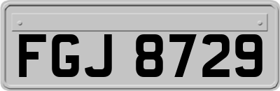FGJ8729
