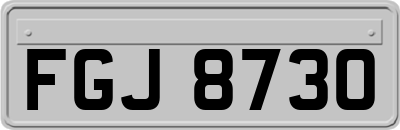 FGJ8730