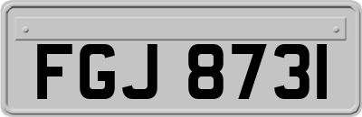 FGJ8731