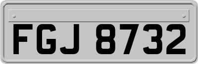 FGJ8732