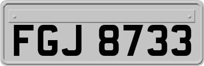FGJ8733