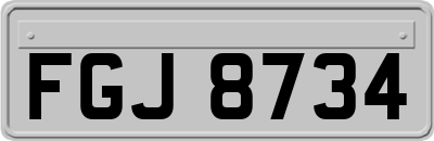 FGJ8734