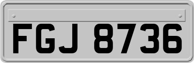 FGJ8736