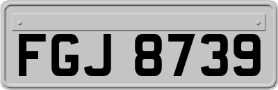 FGJ8739