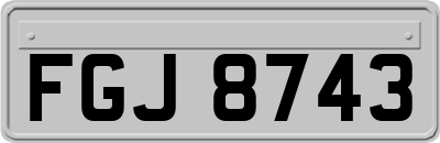FGJ8743