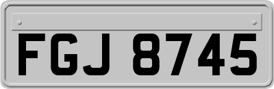 FGJ8745