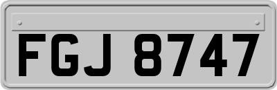 FGJ8747