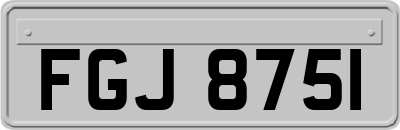 FGJ8751