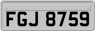 FGJ8759