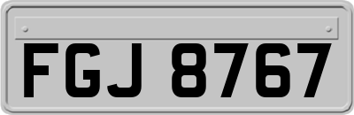 FGJ8767