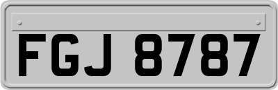 FGJ8787