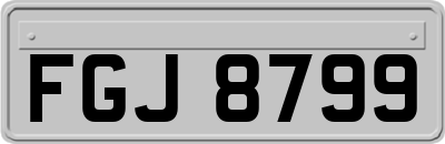 FGJ8799