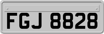 FGJ8828