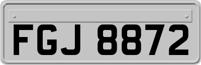 FGJ8872