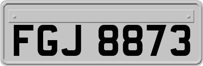 FGJ8873