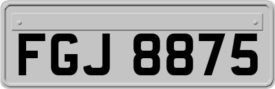 FGJ8875
