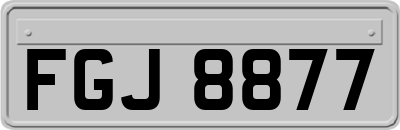 FGJ8877