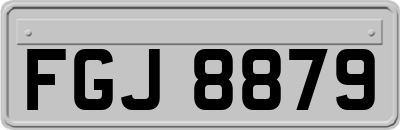 FGJ8879