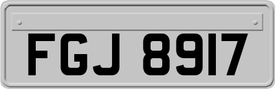 FGJ8917