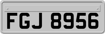 FGJ8956