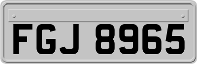 FGJ8965