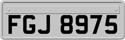 FGJ8975