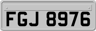 FGJ8976