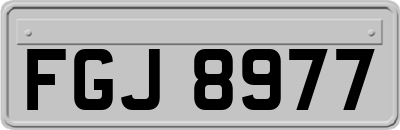 FGJ8977