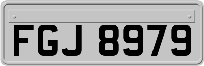 FGJ8979