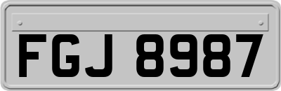 FGJ8987
