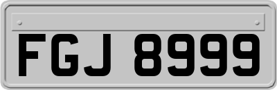 FGJ8999