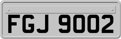 FGJ9002