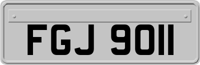 FGJ9011