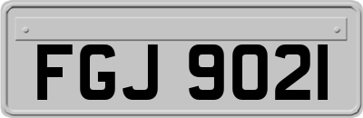 FGJ9021